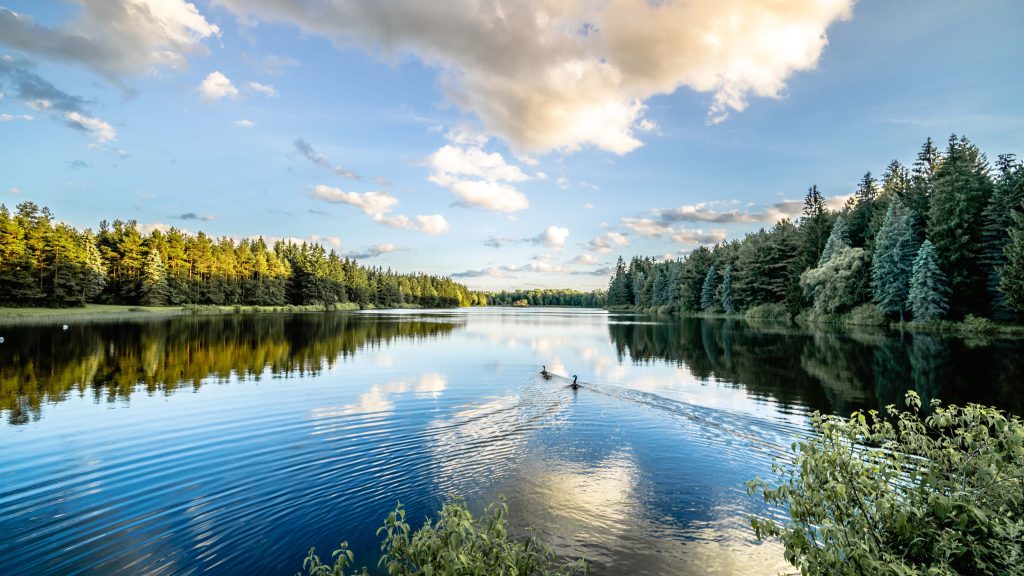 foster-lake
